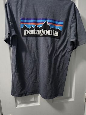 Patagonia Short-Sleeve Logo Tee in Slate Gray with Multicolor Stripe
